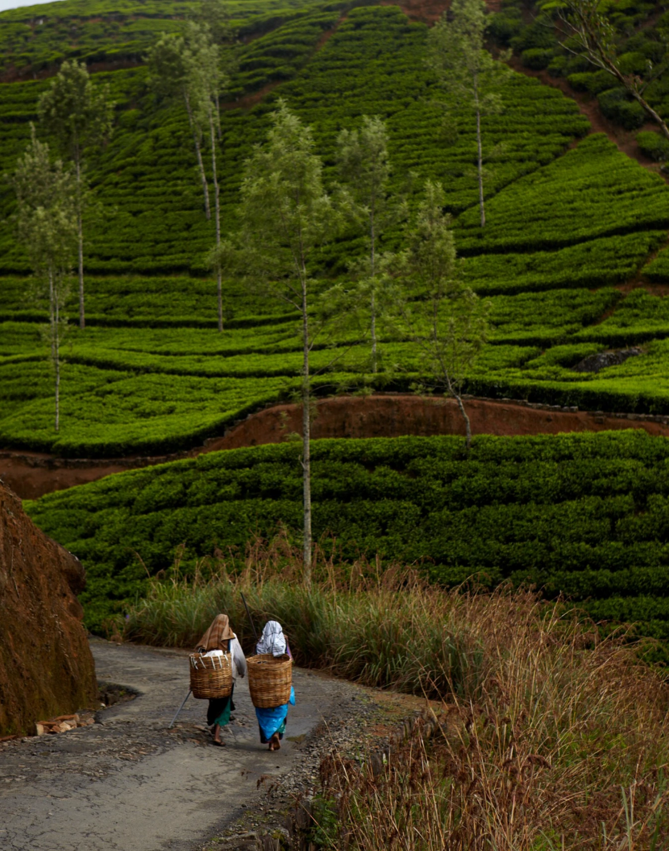 2 people walking in a valley